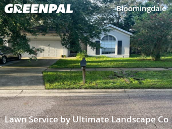 Property Maintenance in Bloomingdale, 33596, Turf Services by Ultimate Landscape Co, work completed in Nov , 2025