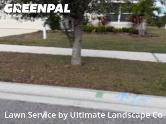 Yard Cuttingin Riverview,33578,Grass Cut by Ultimate Landscape Co, work completed in Dec , 2025