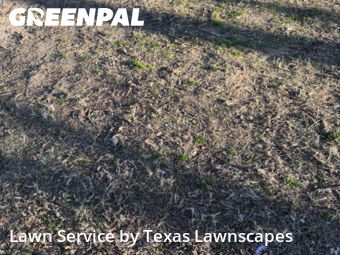 Modern Landscaping In Garland,75042,Landscapers by Texas Lawnscapes, work completed in Feb , 2026