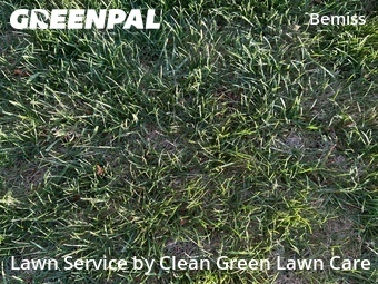 Lawn Cut nearby Spokane, WA, 