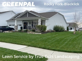 Yard Cutting nearby Westerville, FL, 