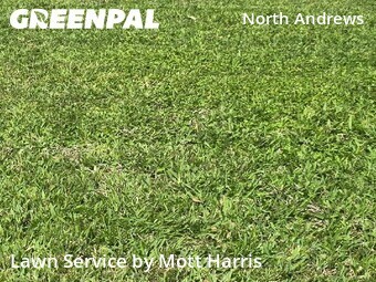 Lawn Service nearby Fort Lauderdale, FL, 