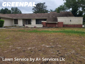Grass Cut nearby Spring Hill, FL, 