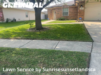Lawn Mow nearby Cibolo, TX, 