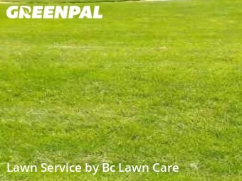 Yard Mowing nearby Raleigh, NC, 