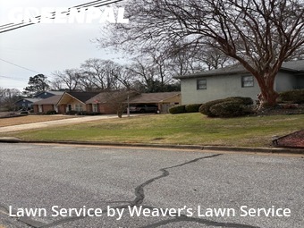 Landscaping In Columbus,31904,Landscaping Renovation by Weaver’s Lawn Service, work completed in Feb , 2026
