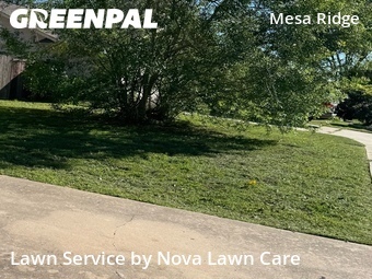 Lawn Cutting nearby Round Rock, TX, 