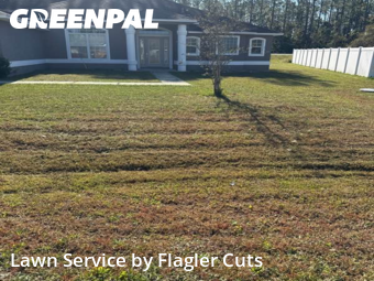 Lawn Mow nearby Palm Coast, FL, 