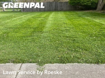 Lawn Care Service nearby Normal, IL, 
