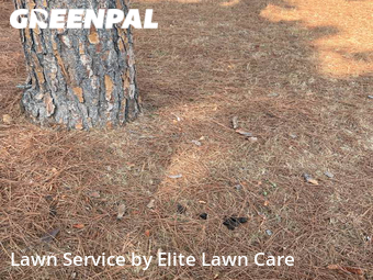 Lawn Care Service nearby Hurst, TX, 