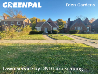 Yard Cutting in Detroit, 48213, Yard Management by D&D Landscaping , work completed in Nov , 2025