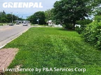 Lawn Maintenance nearby South Elgin, IL, 