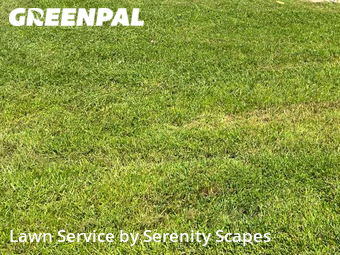 Yard Cutting nearby Port Charlotte, FL, 