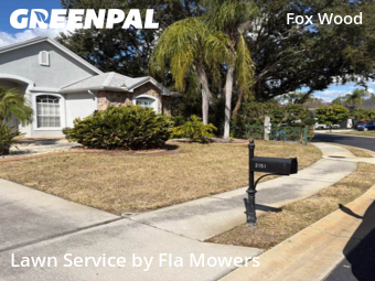 Lawn Care nearby Trinity, FL, 