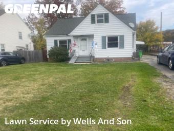 Yard Maintenance in Euclid, 44117, Lawn Work by Wells And Son, work completed in Nov , 2025