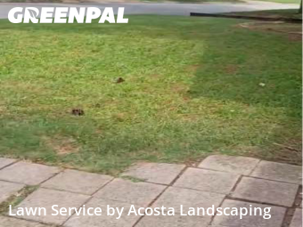 Lawn Cut nearby Euless, TX, 