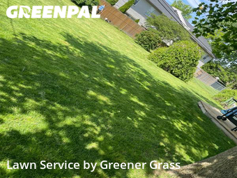 Lawn Service nearby Carmel, IN, 