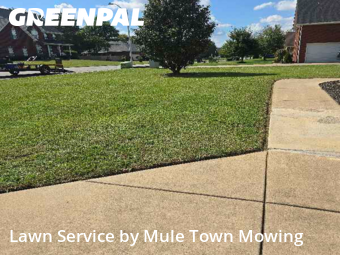 Grass Cut nearby Murfreesboro, TN, 