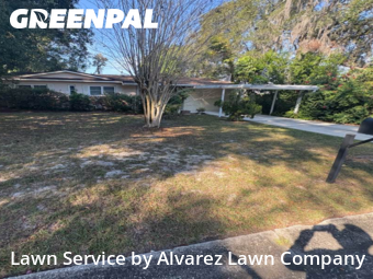 Grass Cutin Altamonte Springs,32714,Yard Cutting by Alvarez Lawn Company, work completed in Dec , 2025