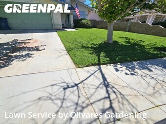 Yard Cutting nearby Lancaster, CA, 