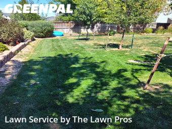 Lawn Care nearby Broomfield, CO, 