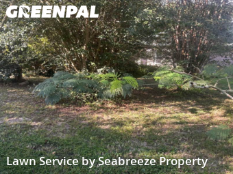 Yard Care in Niceville, 32578, Lawn Work by Seabreeze Property , work completed in Nov , 2025