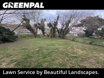 Yard Cutting nearby Roanoke, VA, 