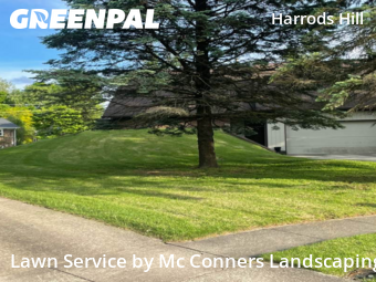 Grass Cutting nearby Lexington, KY, 