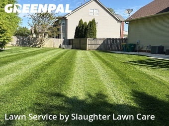 Grass Cut nearby Knoxville, TN, 