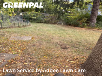 Lawn Upkeep in Urbana, 61801, Landscaping Maintenance by Adbee Lawn Care, work completed in Nov , 2025