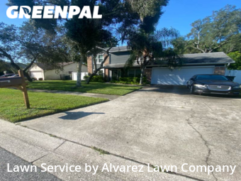 Grass Cuttingin Pine Hills,32818,Grass Cut by Alvarez Lawn Company, work completed in Dec , 2025