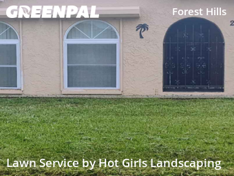 Lawn Mow nearby Holiday, FL, 