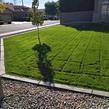 local-lawn-care-services-in-Queen Creek-AZ