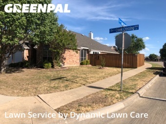 Grass Cutting nearby Sachse, TX, 