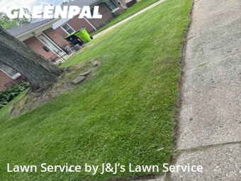 Grass Cutting nearby Madison Heights, MI, 