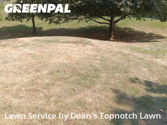 Yard Care in Edwardsville, 62025, Property Maintenance by Dean's Topnotch Lawn, work completed in Nov , 2025