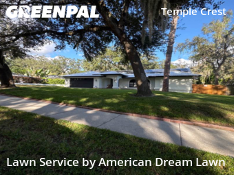 Yard Cuttingin Tampa,33617,Yard Cutting by American Dream Lawn , work completed in Nov , 2025