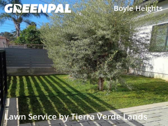 Work completed by residential-lawn-cutting-businesses-in-Los Angeles-CA