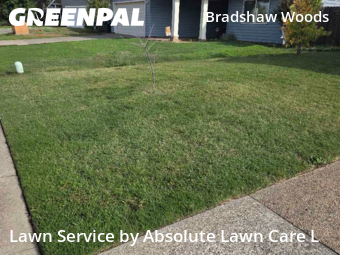 Landscaping Cleanup In Sacramento,95827,Landscaping Services by Absolute Lawn Care L, work completed in Oct , 2025