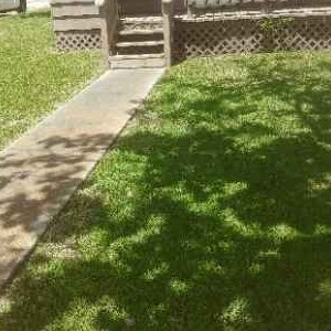 Order Lawn Care in Hitchcock, TX, 78957