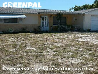 Lawn Cutting nearby Holiday, FL, 