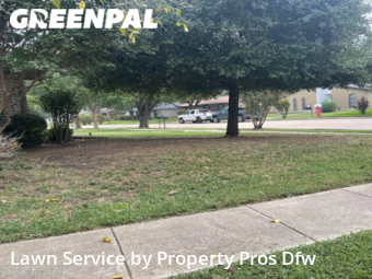 Grass Cut nearby Grand Prairie, TX, 
