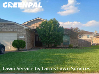 Lawn Cutin Pearland,77584,Lawn Mowing Service by Larios Lawn Services, work completed in Nov , 2025