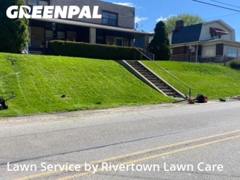 Lawn Mow nearby Baden, PA, 