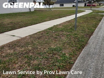 Grass Cut nearby Orlando, FL, 