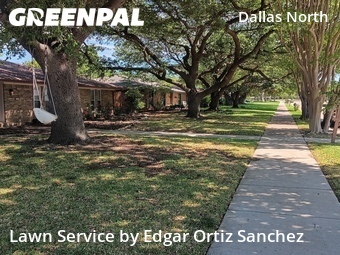 Lawn Service nearby Plano, TX, 