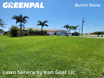 Grass Cut nearby Cape Coral, FL, 
