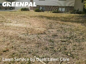 Lawn Mowing nearby Maple Grove, MN, 