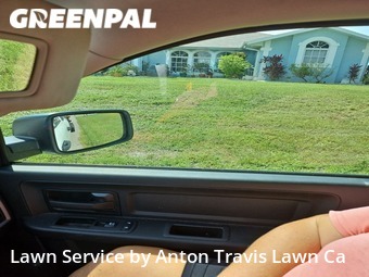 Lawn Cut nearby Port Charlotte, FL, 