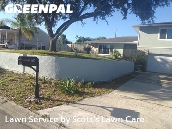 Yard Cutting nearby Tarpon Springs, FL, 